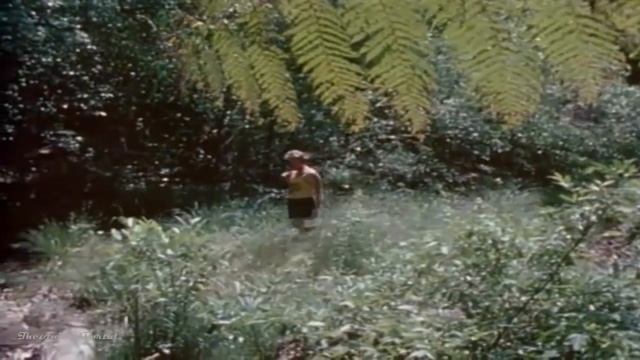 Australia's Animal Mysteries - Nature/Wildlife Documentary смотреть онлайн