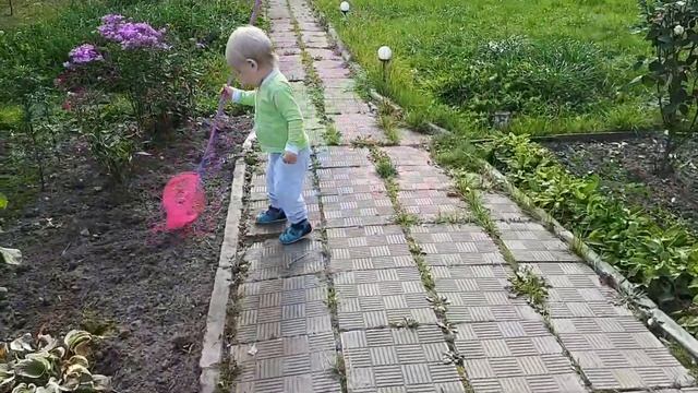 Любитель дачи смотреть онлайн