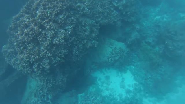 Rescue Diver & Level 3 Guide Jhover Alvarez in free diving 15 meters. смотреть онлайн