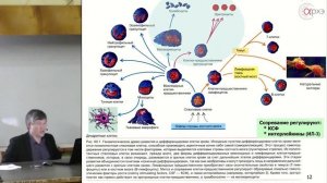 Вячеслав Дубынин: "Иммунитет глазами физиолога. Введение."
