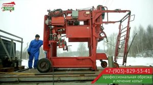 Обрезка и лечение копыт у крупного рогатого скота | Копытный сервис™