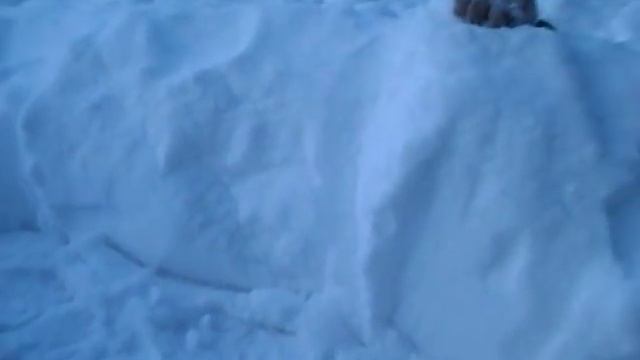 Как правильно убирать снег Советы профессионала смотреть онлайн