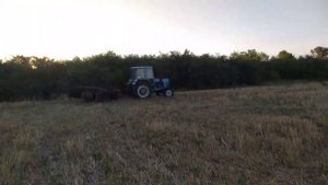 Дисковка стерни. БДТ и МТЗ 80