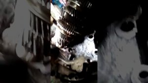 Ремонт КПП заз сенс