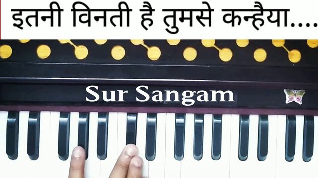 इतनी विनती है Tumse Kanhaiya || New Bhajan II How To Sing and Play II Sur Sangam II Bhajan Part #1 смотреть онлайн
