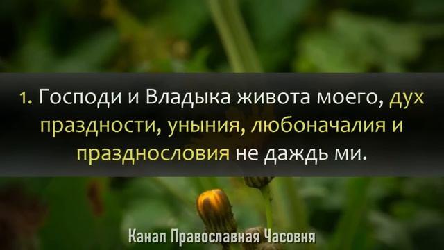 Молитва Ефрема Сирина в Великий Пост - 40 раз