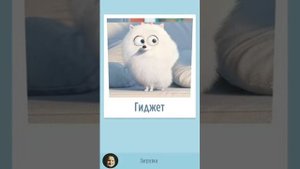 Игра тайная жизнь домашних животных. Playing the the secret life of pets.