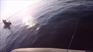 День рыбака, ловля леща на кольцовку, шикарная рыбалка