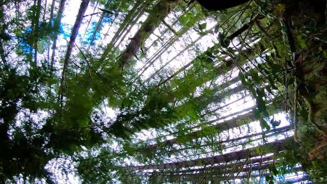 MTB riding on Vancouver Island. Had my first Wipeout today! смотреть онлайн