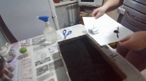 . Как вырастить клубнику из семян. Семена Мальвина Азия. Чамора Туруси.