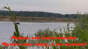 Необычный случай, произошедший на рыбалке в июле 2020. Фидерная рыбалка на  реке Ока.