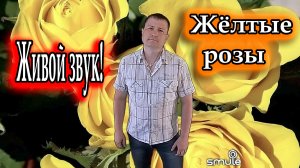Вадим Казаченко, исп. Владимир Need Soul Кузьмин - Жёлтые розы (cover version)