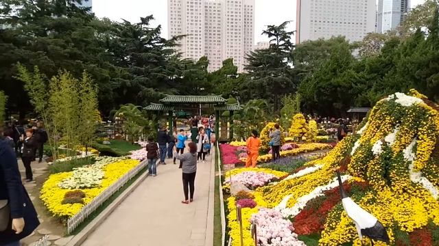 Парк труда в Даляне смотреть онлайн