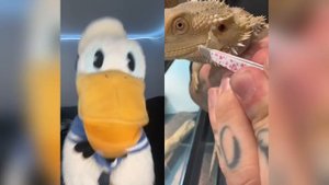 Donald Ducc REACTS To POPPY PLAYTIME TikToks! 7