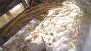 БЕНЗОПИЛА УРАЛ С КАРБЮРАТОРОМ ОТ ДРУЖБЫ