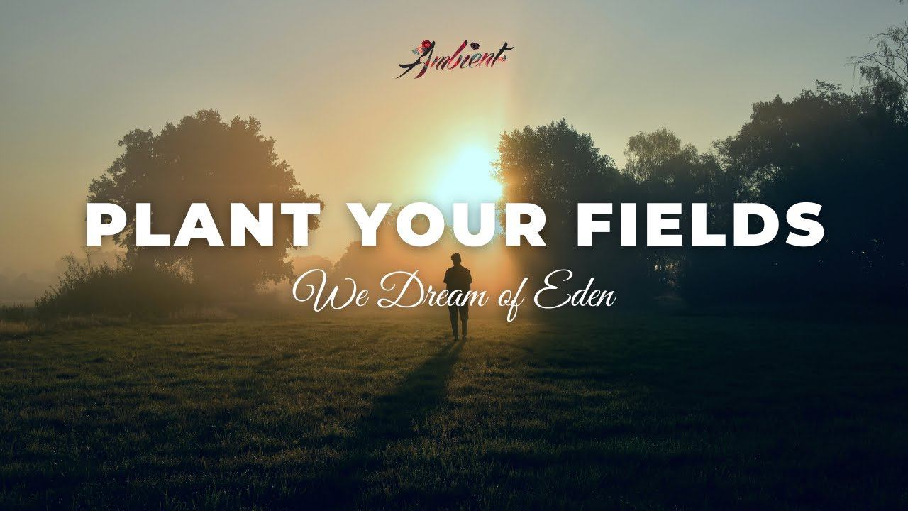 We Dream of Eden - Plant Your Fields [relaxing cinematic ambient] смотреть онлайн
