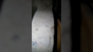 Не понятный стук Рено дастер