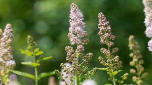 Жаркий день. Музыка для души. Невероятно красивая музыка Сергея Чекалина.