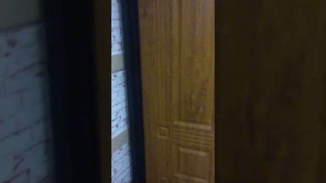 Входная дверь Алмаз 22 с двумя створками смотреть онлайн