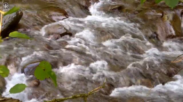 Звуки природы ||Видео для сна 2021|| Видео для релакса смотреть онлайн