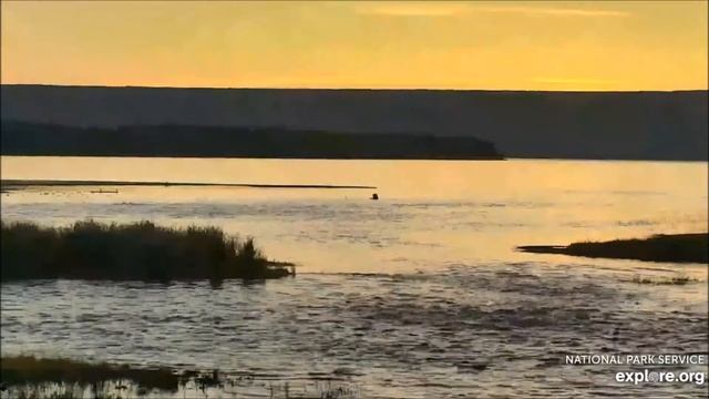 Медведи. Национальный Парк Катмай, Аляска. Bears. Katmai National Park, Alaska. смотреть онлайн
