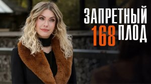 Запретный плод 168 серия на Русском языке Турецкий сериал дата выхода и сюжет
