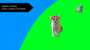 Недели котёнок сезон 2 серия 2 на tiktok