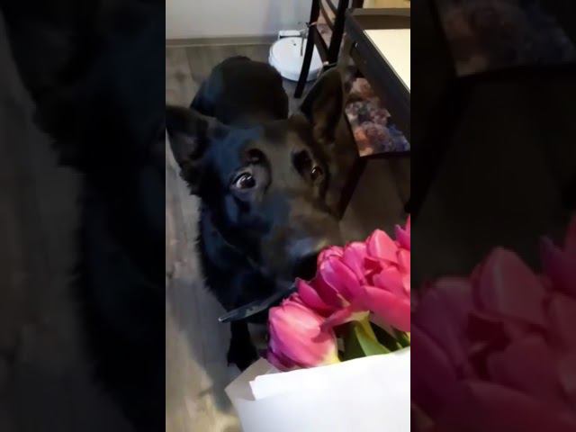 7 марта 2024 г. смотреть онлайн