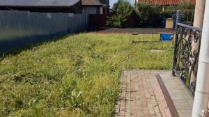 Посевной газон своими руками с 0 под ключ