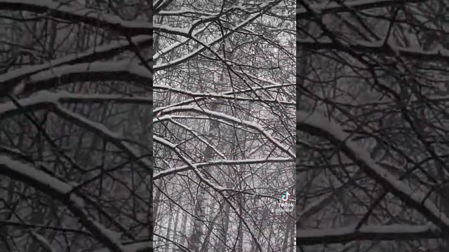 Снег идёт .