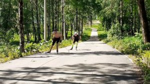 Лыжероллеры. Одношажный коньковый ход в подъем