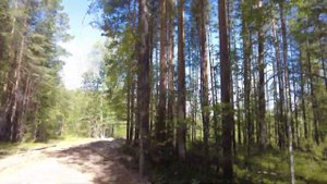 Окрестности Карпинска и пос.Сосновка. Свердловская область.