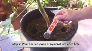 Mycorrhiza Application for Existing Plant