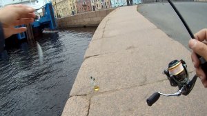 #35 Пяти частный спиннинг для мормышинга - Кощей Атлас