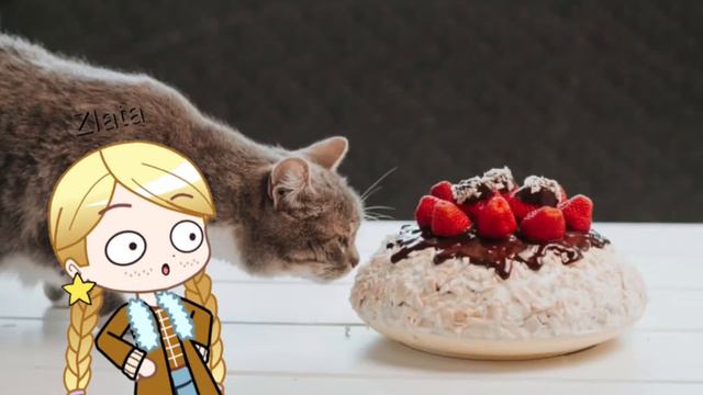 Лучший сыщик 🕵🏼♀️ меме// Zlata Meow смотреть онлайн