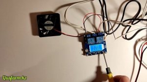 Регулятор температуры и влажности модель XY-TR01 для Инкубатора, теплицы жк дисплей