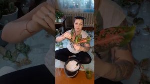 Адаптация растений (аглаонем) из Таиланда