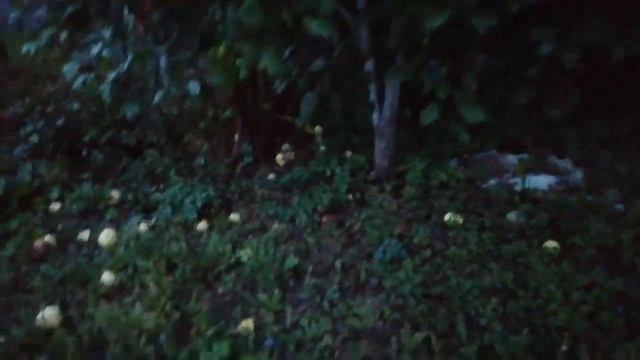 ЧТО ПРОИСХОДИТ НА ДАЧЕ...? ПРОПАЛА Катя! смотреть онлайн