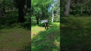 Подготовка к адаптивной акробатике, Новосибирск