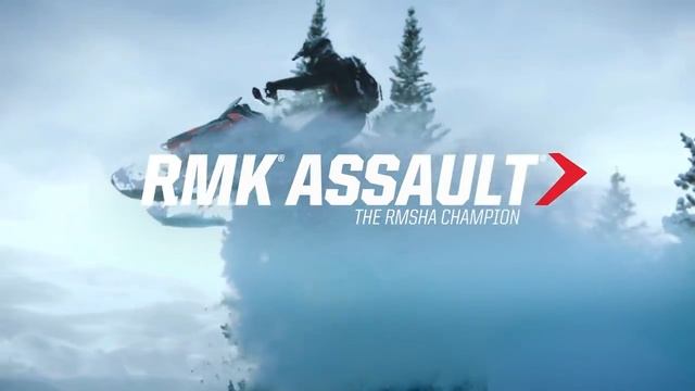 2017 Polaris RMK Family смотреть онлайн