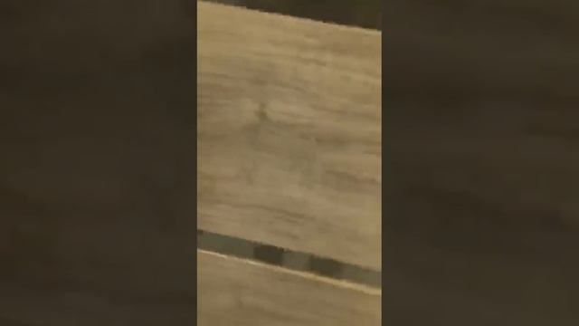 Дом с ремонтом с. Цемдолина г. Новороссийск