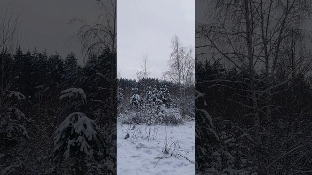 Осознанный выбор, куда идти