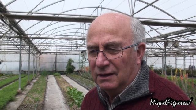 Nepeta Cataria: Un relajante natural (con Josep Pàmies) смотреть онлайн