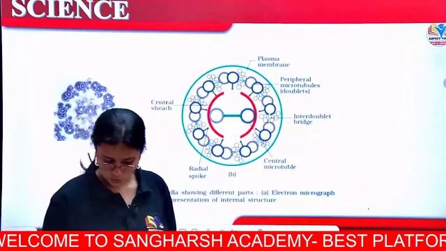 BSC NURSING 2024 LIVE CLASS || BRAHMASTRA SERIES || BIOLOGY || CELL LECTURE NO-05 || SRISTY MAM