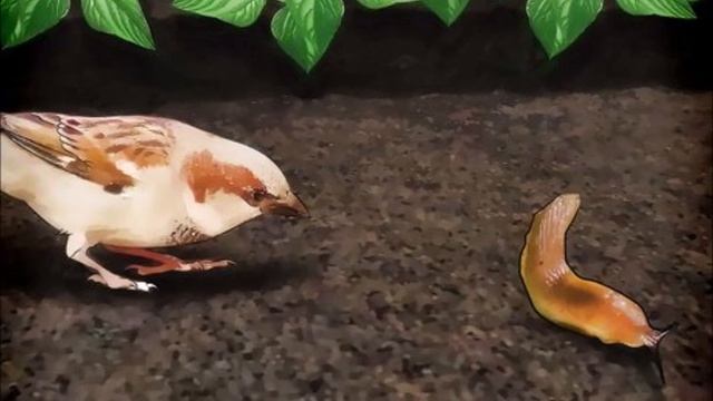 О слизнях смотреть онлайн