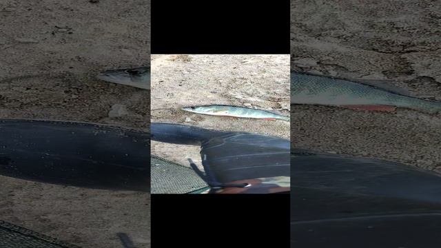 ну и ладно смотреть онлайн