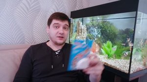 Корм выходного дня для рыбок.