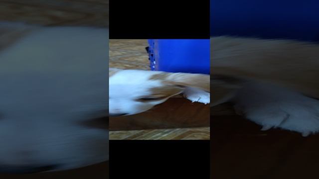  смотреть онлайн