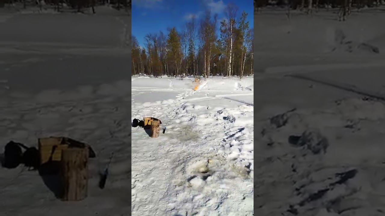 Патроны Феттер смотреть онлайн