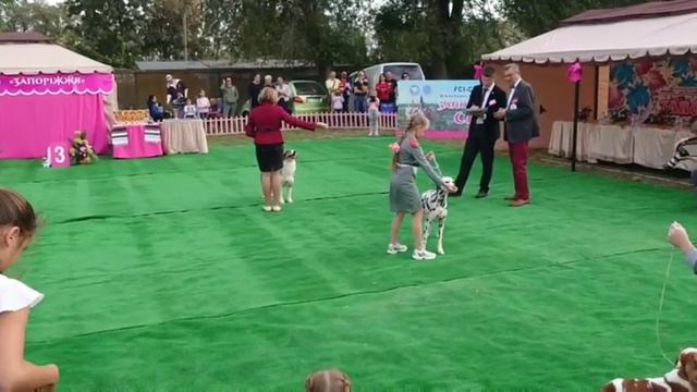 Юный хендлер - фигура "буква Г и L" смотреть онлайн